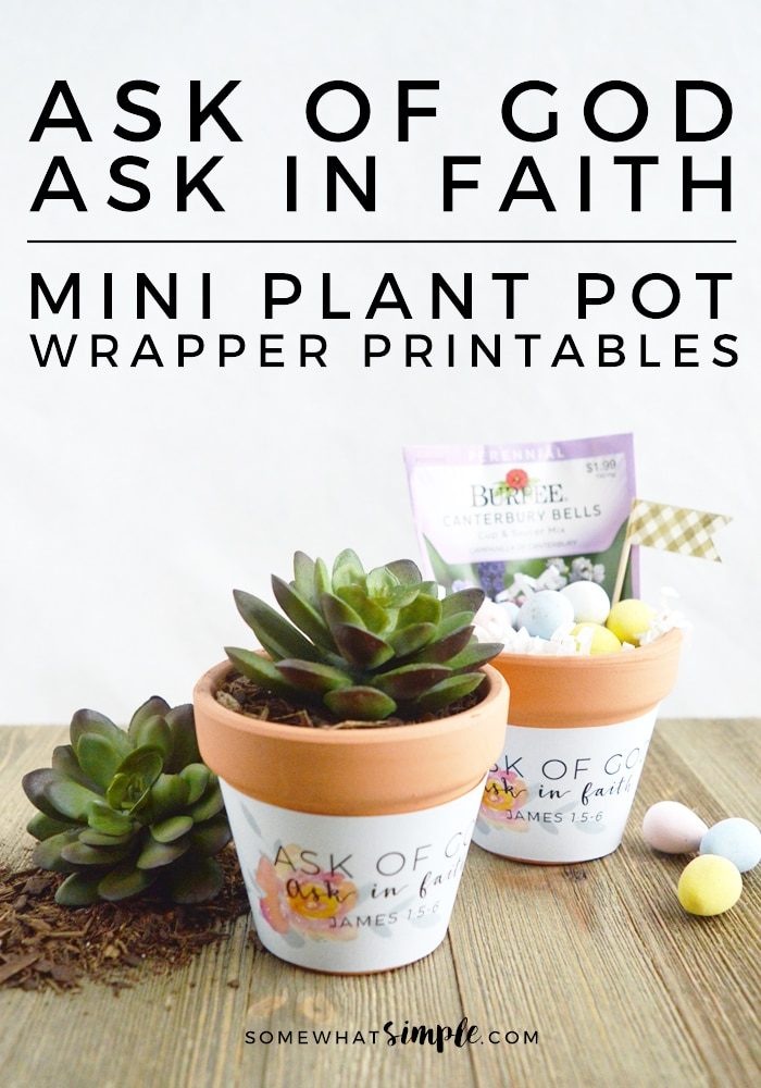 long image of two mini terra cotta pots with a cute printable wrapper on them.