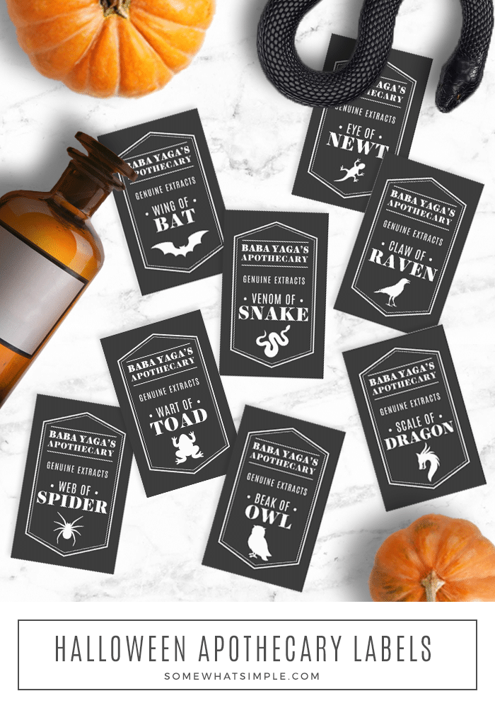 apothecary labels laying on a counter with a jar and mini pumpkins