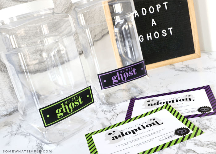 clear containers with the words "pet ghost" attached to them