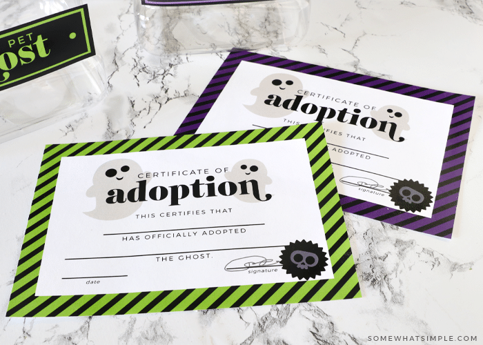 pet ghost adoption certificates