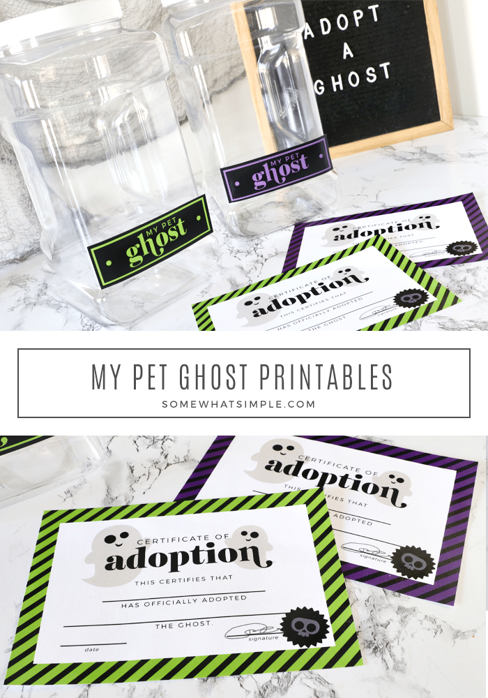 pet ghost cage and printables laying on the counter