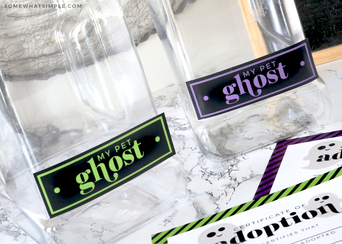 clear container with a label that says "my pet ghost" on it