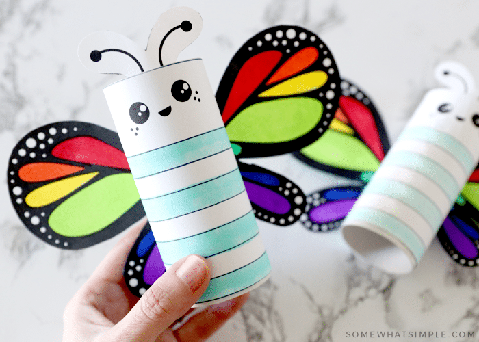 Toilet Paper Roll Butterfly Craft - Somewhat Simple Kids