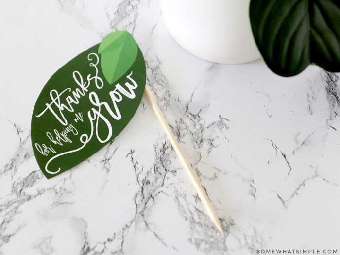 gift tag attached to a wooden skewer