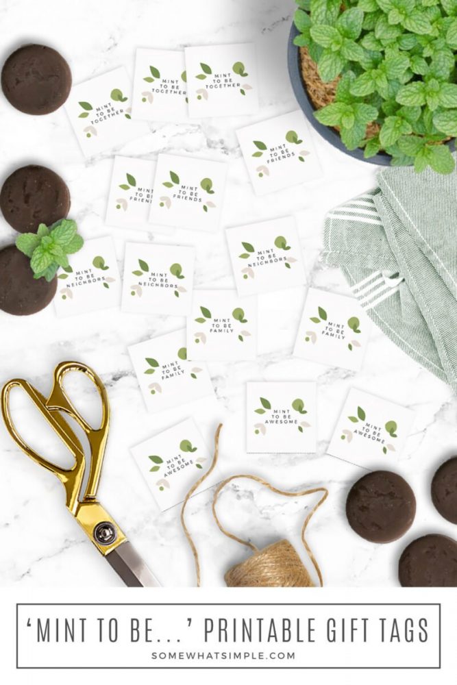 long image of gift tags with a mint plant and mint cookies