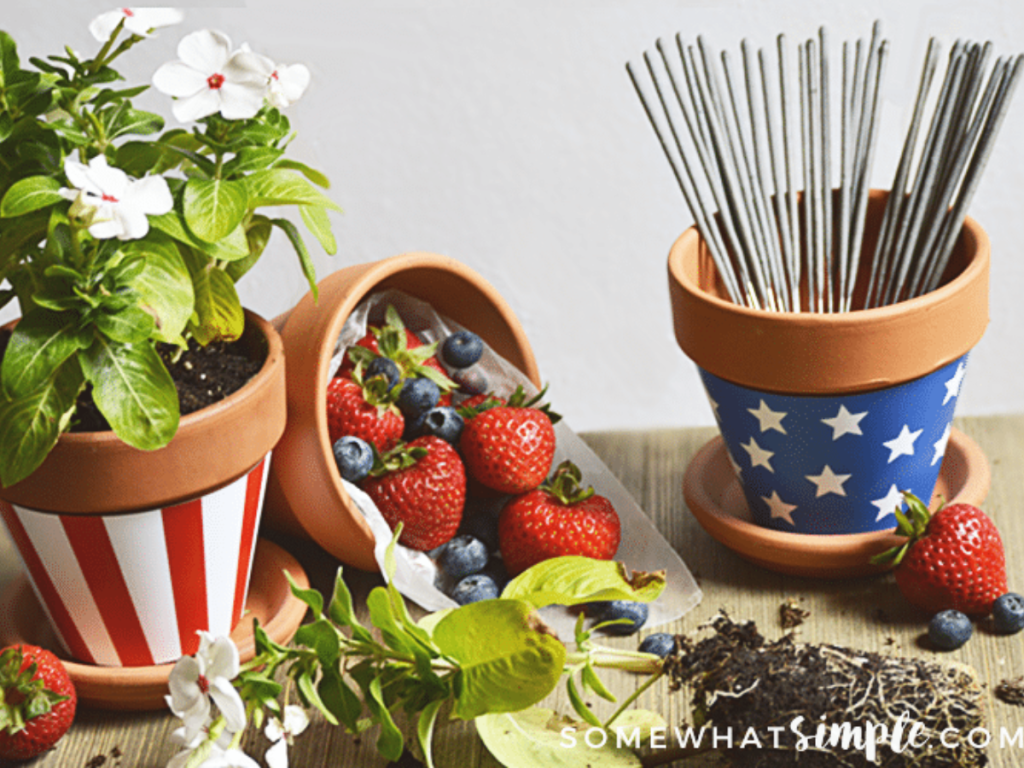 staged beauty shot of patriotic pot wrappers