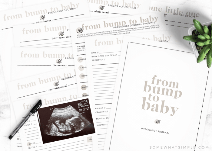Printable Pregnancy Journal