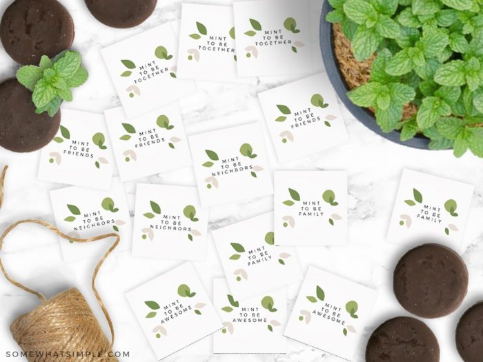 Mint to Be Printable Gift Tags